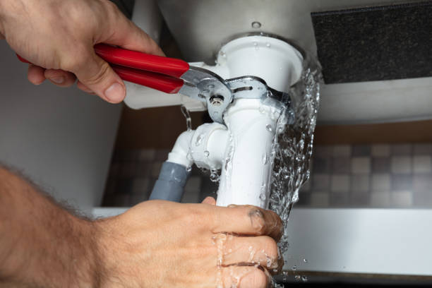 Best Water damage cleanup near me  in Tonto Basin, AZ