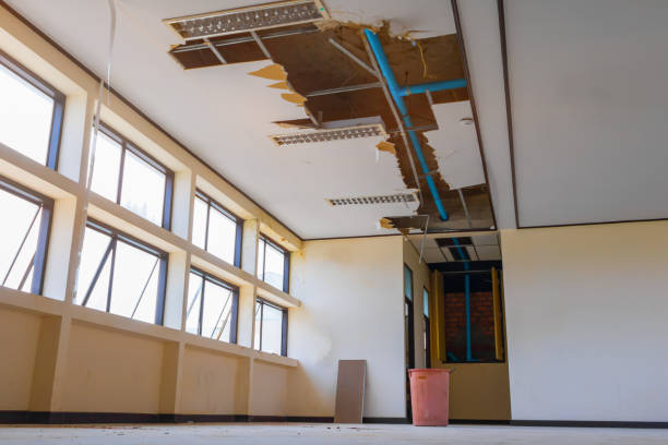 Best Water damage restoration company  in Tonto Basin, AZ
