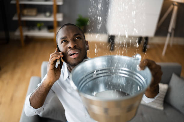 Best Local water damage restoration  in Tonto Basin, AZ