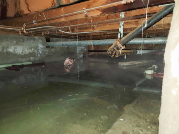 Water damage restoration process in Tonto Basin, AZ