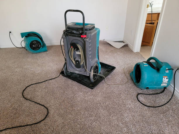 Best Water damage contractors near me  in Tonto Basin, AZ