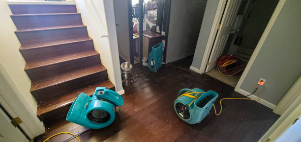 Water damage restoration insurance claims in Tonto Basin, AZ