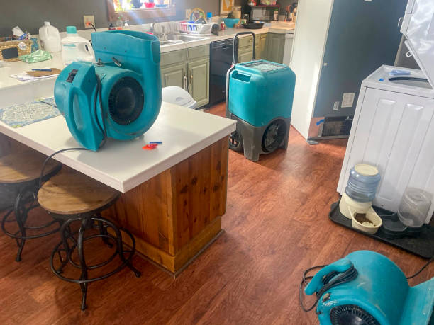 24/7 water damage repair in Tonto Basin, AZ