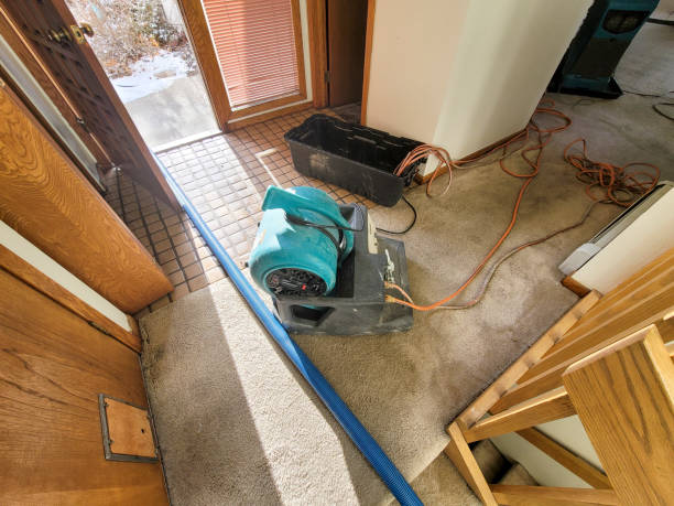 Best 24-hour water damage restoration  in Tonto Basin, AZ