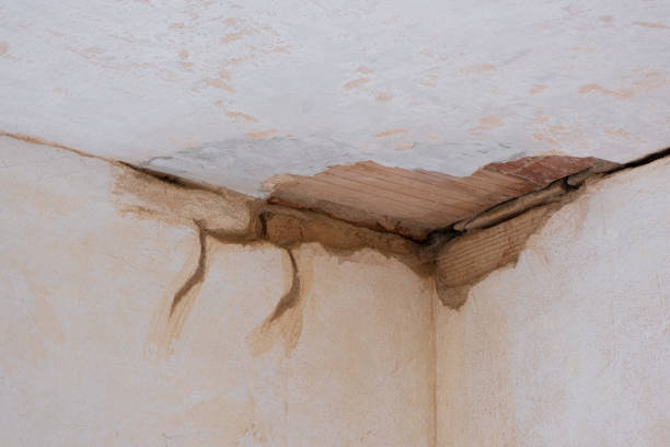 Carpet water damage restoration in Tonto Basin, AZ
