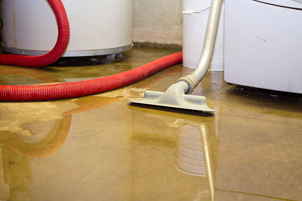 Best Fire Damage Restoration  in Tonto Basin, AZ