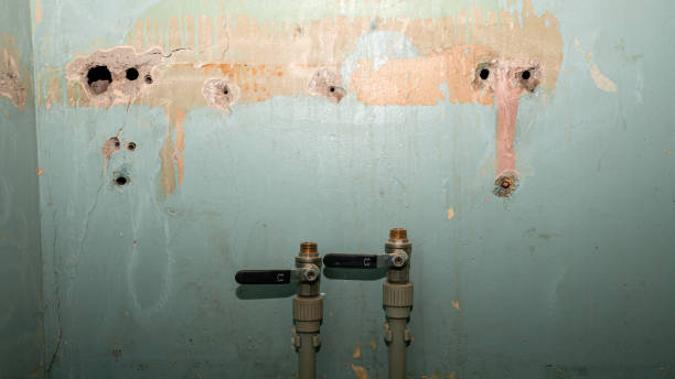 Best Basement water damage restoration  in Tonto Basin, AZ