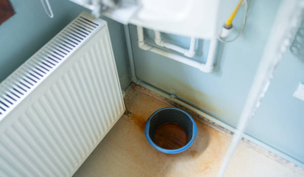 Trusted Tonto Basin, AZ Water damage restoration Experts