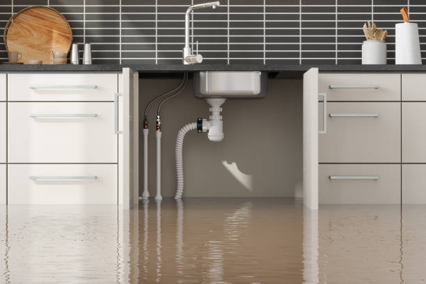 Best 24/7 water damage repair  in Tonto Basin, AZ