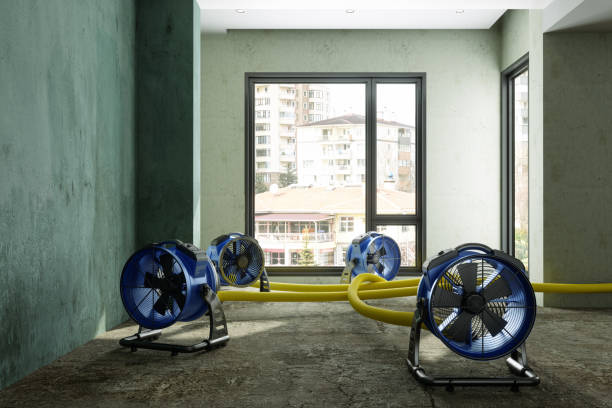 Best Water damage restoration near me  in Tonto Basin, AZ